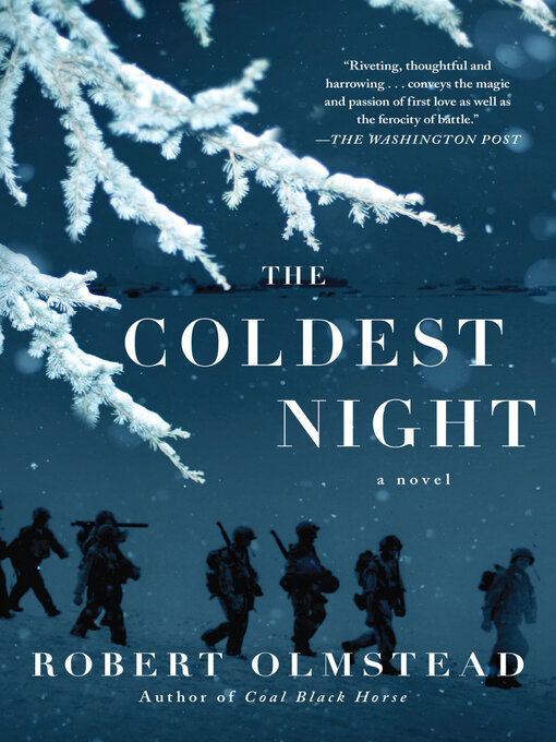 Title details for The Coldest Night by Robert Olmstead - Wait list